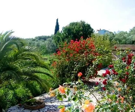 萨拉基诺文学馆酒店 别墅 Agios Dimitrios (Zakynthos)